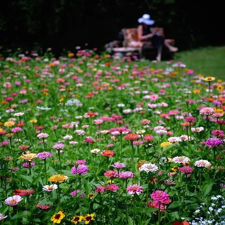 That's Life Glamping - Dolomite Experience
