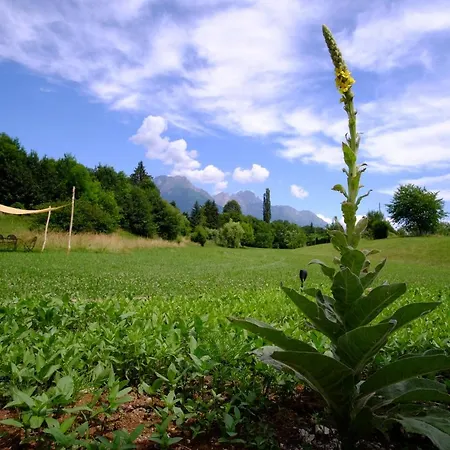 Luxusní stan That's Life Glamping - Dolomite Experience *