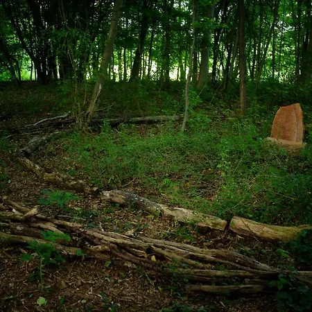 That's Life Glamping - Dolomite Experience Dorgnan