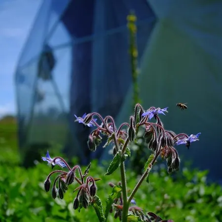 That's Life Glamping - Dolomite Experience Luxusní stan Dorgnan