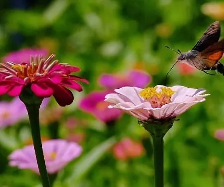 That's Life Glamping - Dolomite Experience