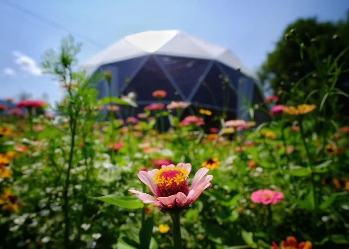 That's Life Glamping - Dolomite Experience Lüks kamp alanı Dorgnan