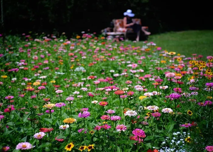 That's Life Glamping - Dolomite Experience