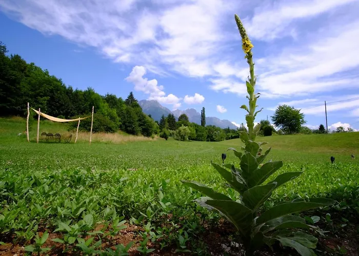 Campismo de Luxo That's Life Glamping - Dolomite Experience *