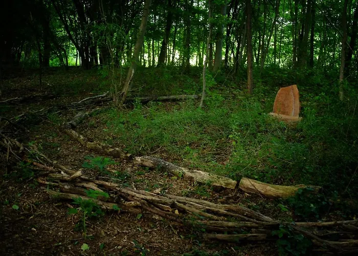 That's Life Glamping - Dolomite Experience Dorgnan