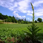 Tente de luxe That's Life Glamping - Dolomite Experience *
