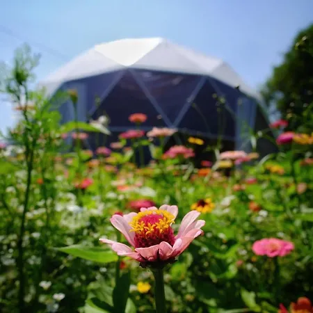 That's Life Glamping - Dolomite Experience Luxury tent Dorgnan